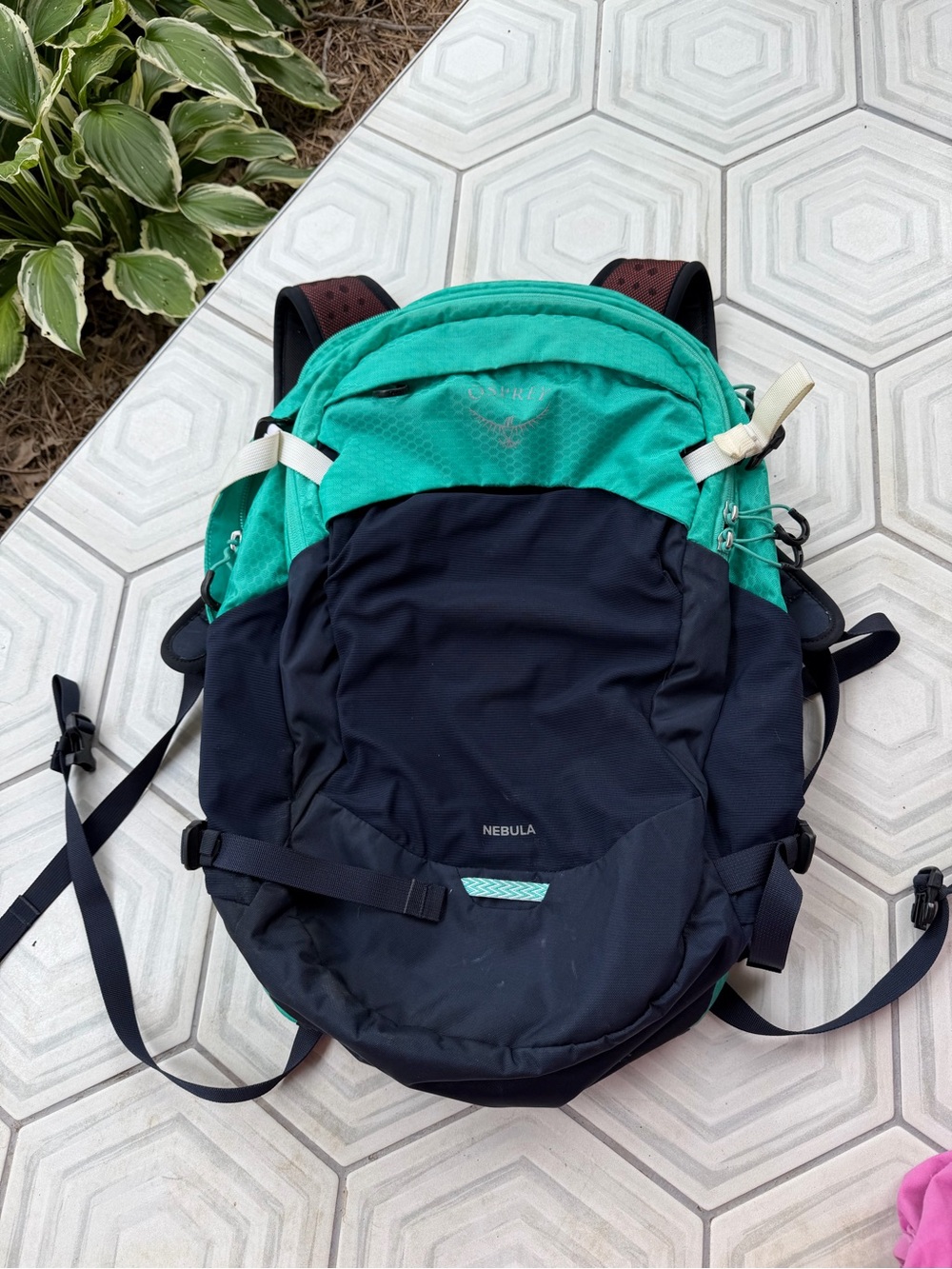 Osprey Nebula Backpack in Teal and Navy